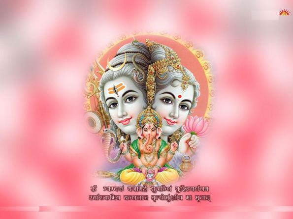 Фото без названия