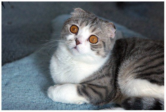 Фото без названия