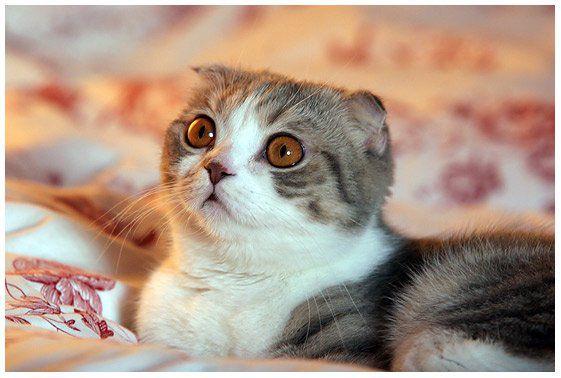 Фото без названия