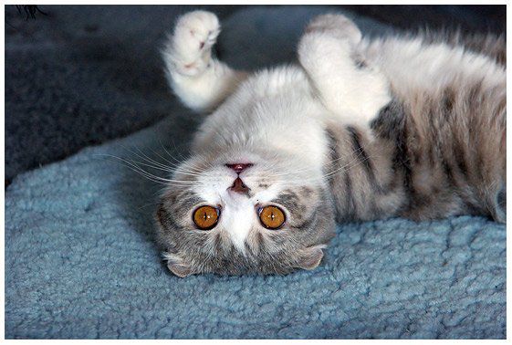 Фото без названия